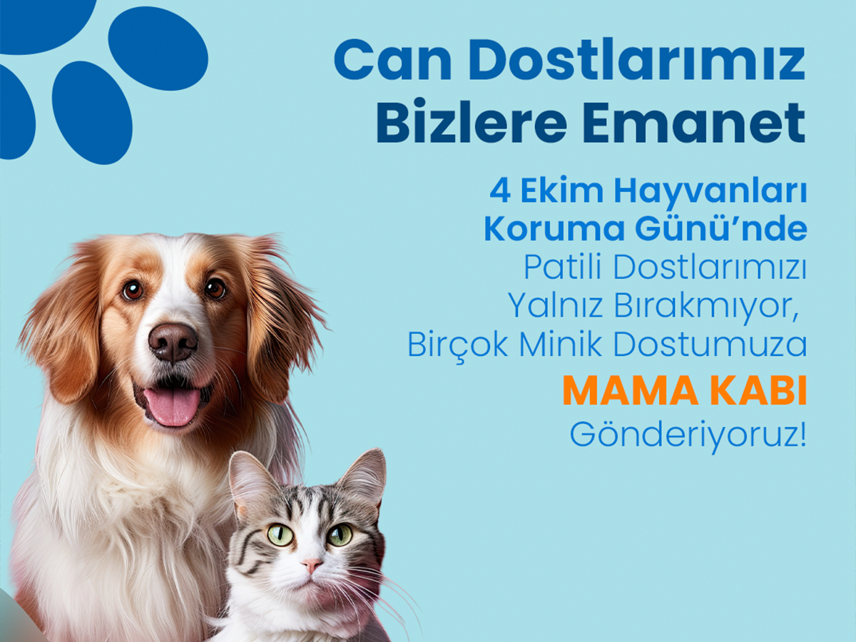 Can Dostlarımız Bizlere Emanet